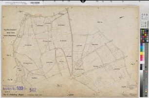 Dingden (Hamminkeln), Flurbereinigung Dingden, Bl.13 Zuteilungskarte Flur 13