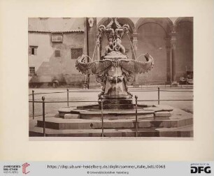 No. 408 - Firenze - Fontana del Tacca (Piazza della SS. Annunziata)