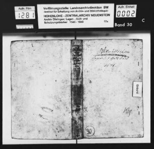 Lager- und Gültbuch über Wohlmuthausen.