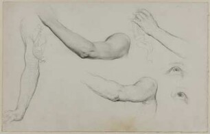 Arm-, Hand- und Augenstudien