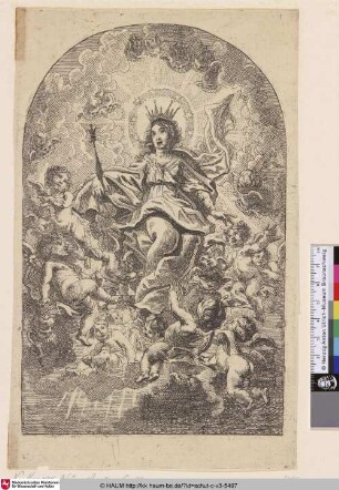 [Gekrönte Maria im Himmel von Engeln umgeben; GLorification of the crowned Virgin (arched on square plate)]