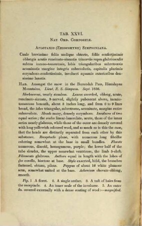 Sertum plantarum : or, drawings and descriptions, of rare and undescribed plants from the author's herbarium, 2