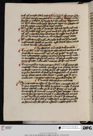 David de Augusta, Formula novitiorum