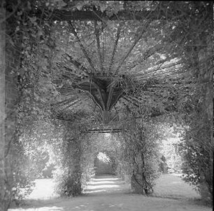 Branitzer Park