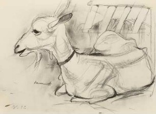Ziege : Bleistiftzeichnung, 23,9 x 32,5 cm, bez., Dresden, Kupferstich-Kabinett, SKD