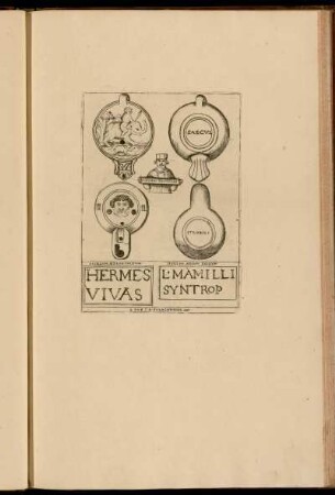 Hermes Vivas - L. Mamilli Syntrop