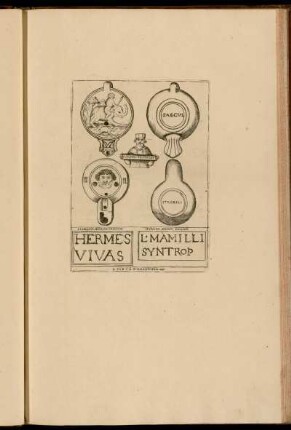 Hermes Vivas - L. Mamilli Syntrop