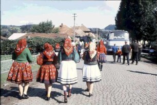Huta Certeze: Trachtengruppen