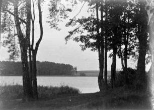 Moritzburg. Am oberen Waldteich
