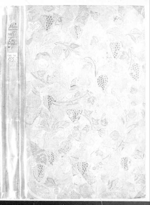 Jacobi Marell S.J. emblemata - BSB Clm 1556