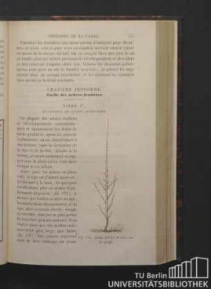 Chapitre troisieme. Taille des arbres fruitiers.