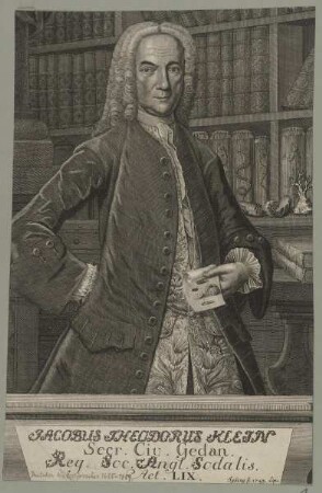 Bildnis des Jacobus Theodorus Klein