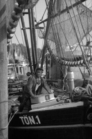Tönning: Hafen mit Krabbenfischerboot, Tön 1