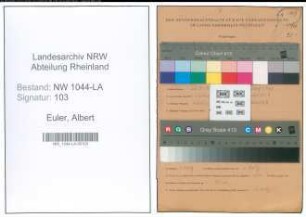 Entnazifizierung Albert Euler , geb. 26.03.1918 (Tischlermeister)