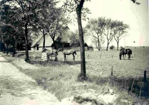 Hof im Kronprinzen-Koog bei Marne. Pfingsten, 05.06.1927