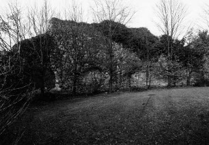 Stadtmauer, zwei Teilstücke; Darmstadt, Alexanderstraße 21, Alexanderstraße 23