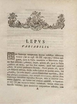 LÉPVS VARIABILIS