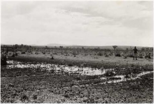 Typisches Landschaftsbild des Pantanal : 12,1 km nördlich von Aquidauana, Höhe: 190 m