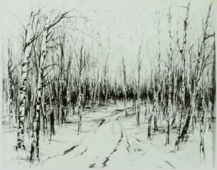 Landschaft