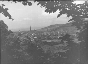 Freiburg von Süden
