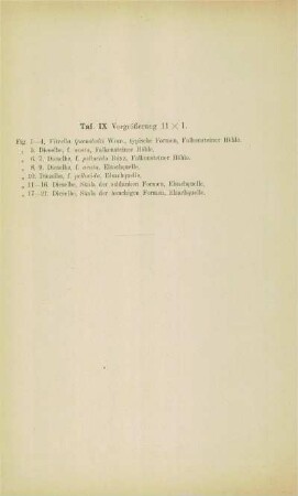 [Erläuterungen zu] Tafel IX