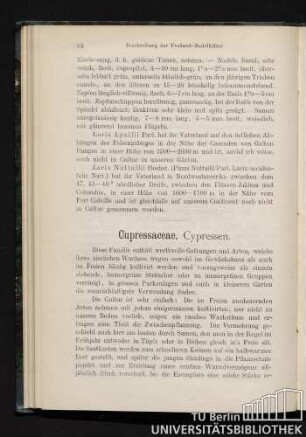 Cupressaceae, Cypressen.
