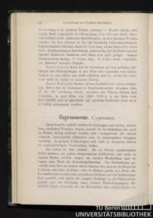 Cupressaceae, Cypressen.