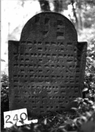 Grabstein 240 (Index: 99803343) Material: Sandstein Zustand: gut Maße HxBxT: 78x53x8 cm Beschreibung: Stele mit eingezogenem Rundbogen: Grabstein 240
