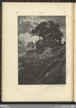 Baum auf Anhöhe