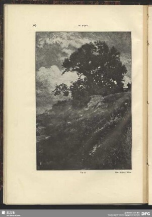 Baum auf Anhöhe