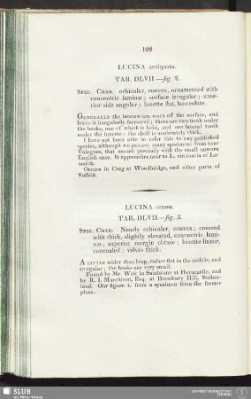 Lucina antiquata. Tab. DLVII.—fig. 2