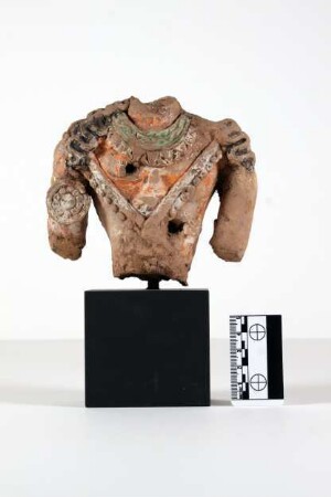 Torso