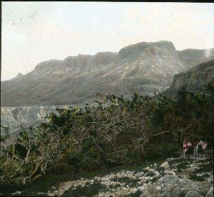 Berg Nebo
