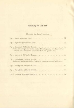 Erklärung der Tafel LIII.