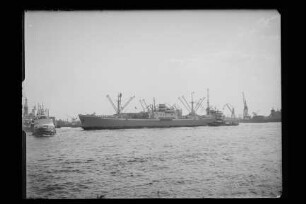 Rosenort (1962), VEB Deutsche Seereederei, VEB Deutfracht, VEB Deutfracht - Seereederei Rostock (DSR), Deutsche Seereederei GmbH, Rostock