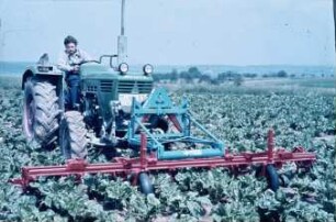 Fotografie: Gartenbautechnik-Freiland, Bodenbearbeitung, Hackmaschine, Frontanbau, Zuckerrübe