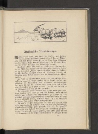 Afrikanische Reminiscenzen.