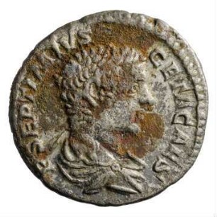 Münze, Denar, 203 - 208 n. Chr.