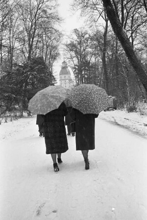 Wintertag im Schlossgarten.