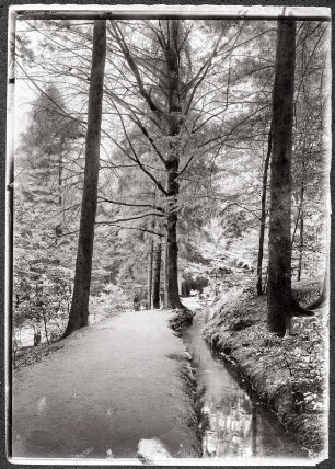 Bad Harzburg, Philosophenweg