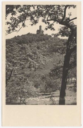 Burg Ludwigstein
