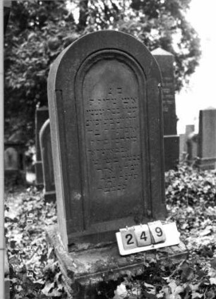 Grabstein 249