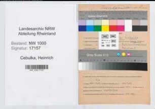 Entnazifizierung Heinrich Cebulka, geb. 02.05.1913 (Amtsgerichtsrat)