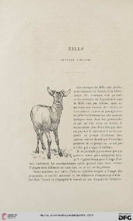2. Pér. 9.1874: Hills : graveur anglais