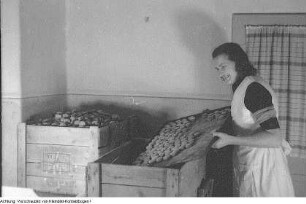 Pulsnitz, Pfefferkuchenherstellung, August 1951