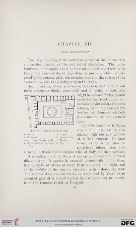 Chapter XII.: The Macellum