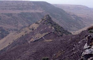 Gamal, Bergrücken [Gebel gamle, Israel-Exkursion]