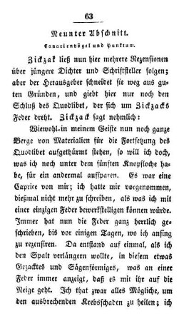 Neunter Abschnitt. Canarienvögel und Punktum.