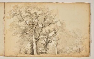 Bordesholm