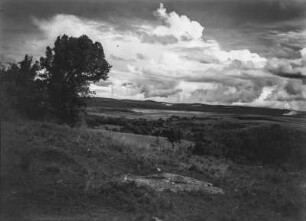 Savanne : Savanne in Kenia